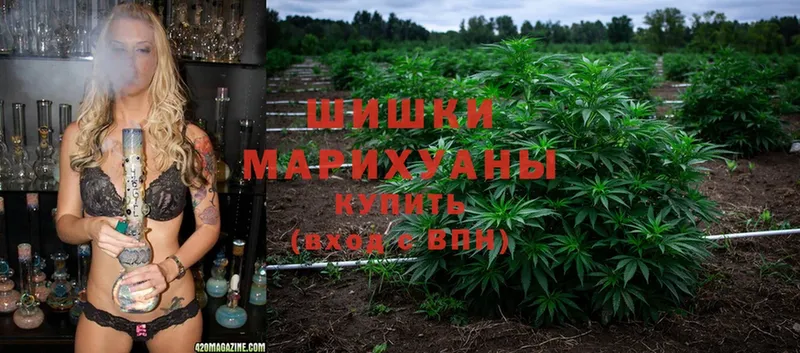 продажа наркотиков  Новозыбков  Канабис Ganja 